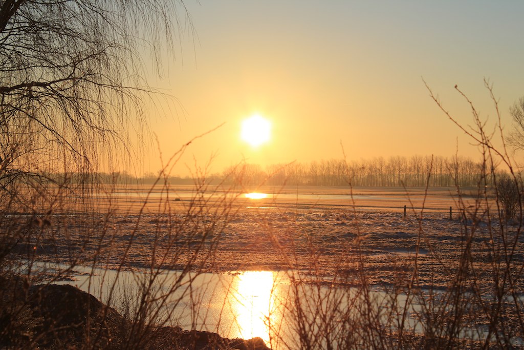 a sun rise over a marsh at sunset