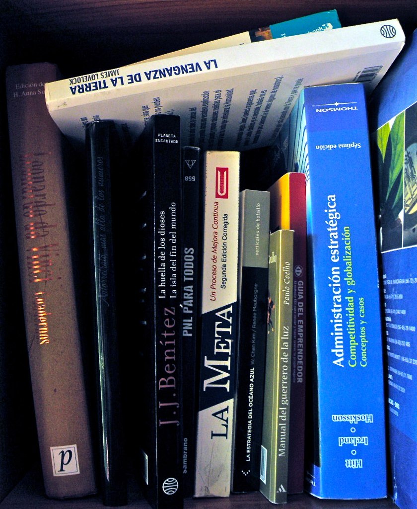 a shelf with some books that are sitting on it