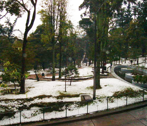 the snowy park is surrounded by many trees