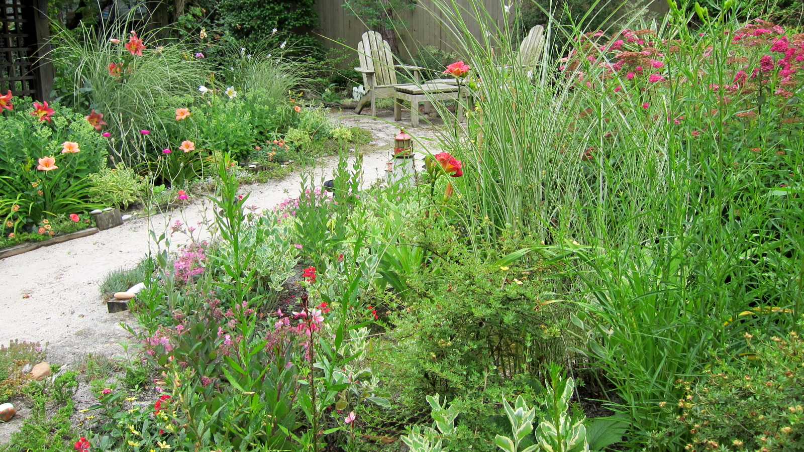 a garden with lots of plants and colorful flowers