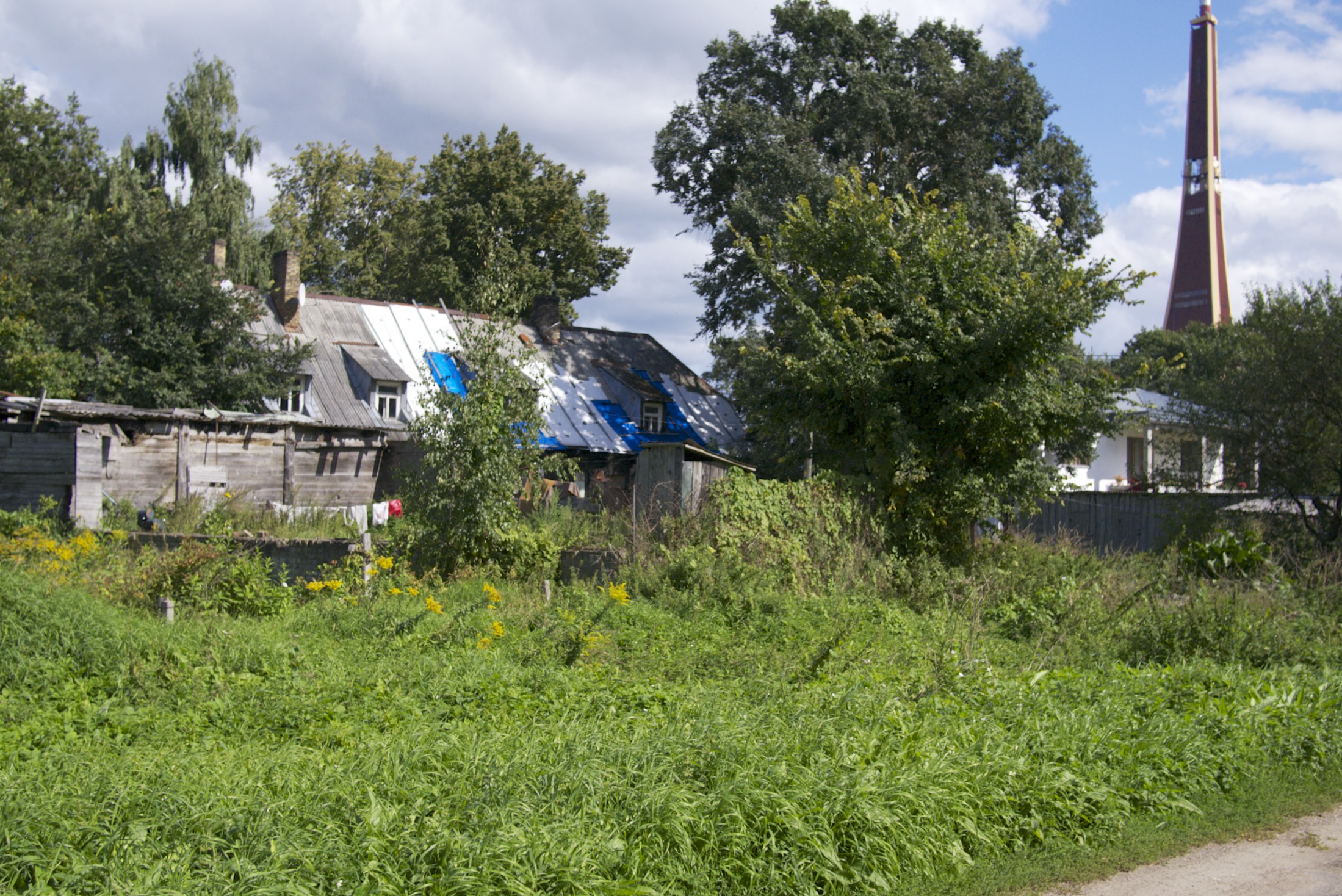 an old wooden shack sits in a field near tall trees