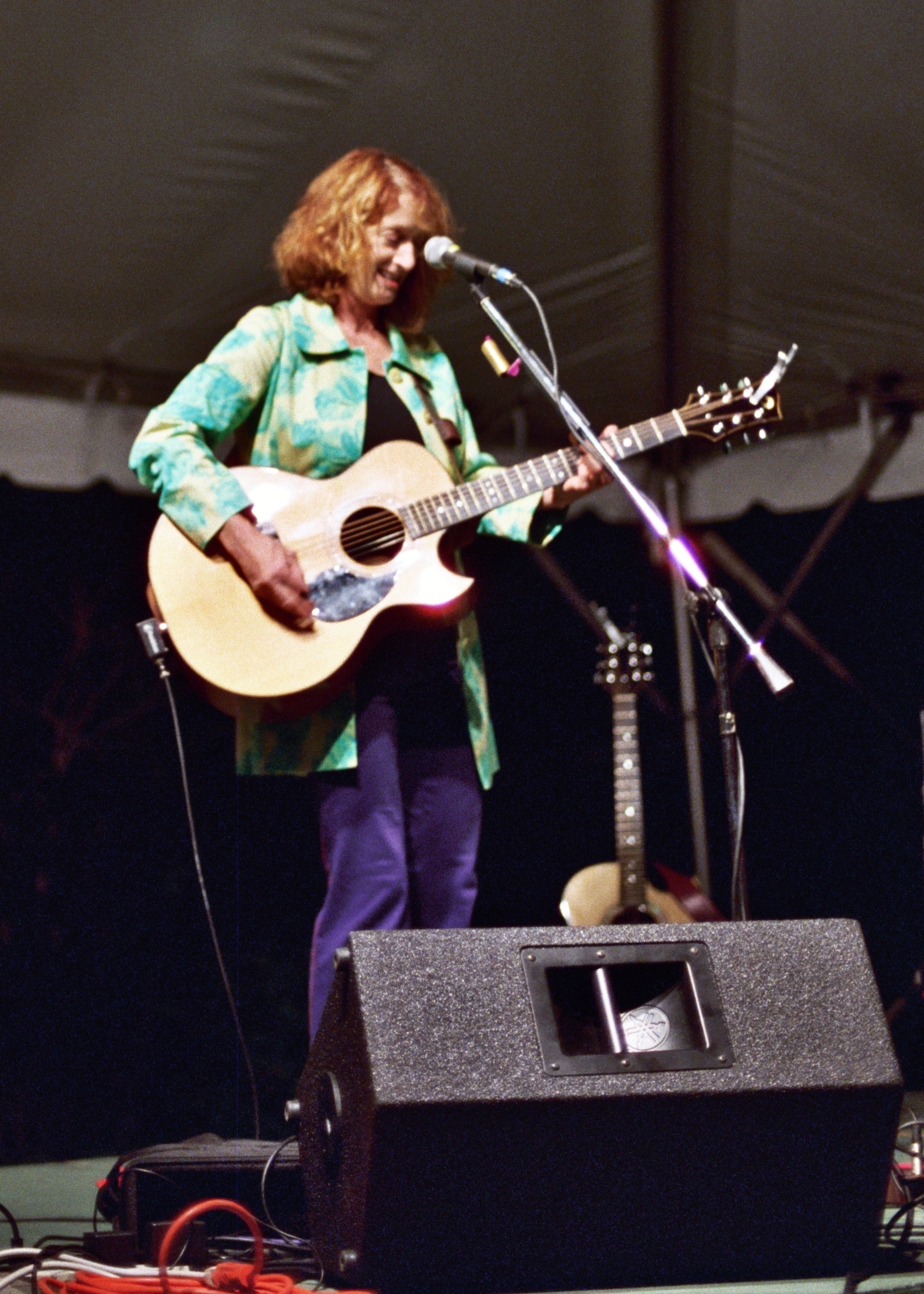 an image of woman with acoustic guitar performing