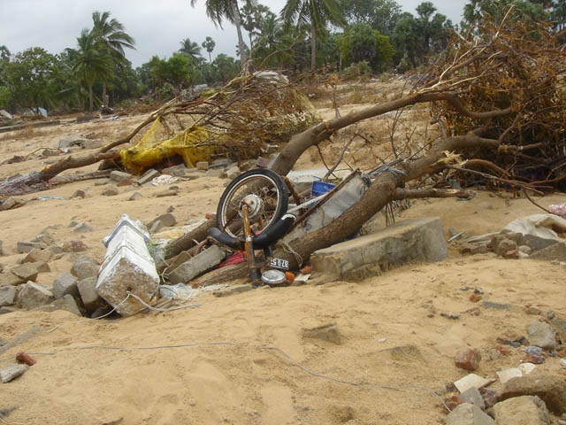 a motorcycle leaning on a log with a smaller one sitting below