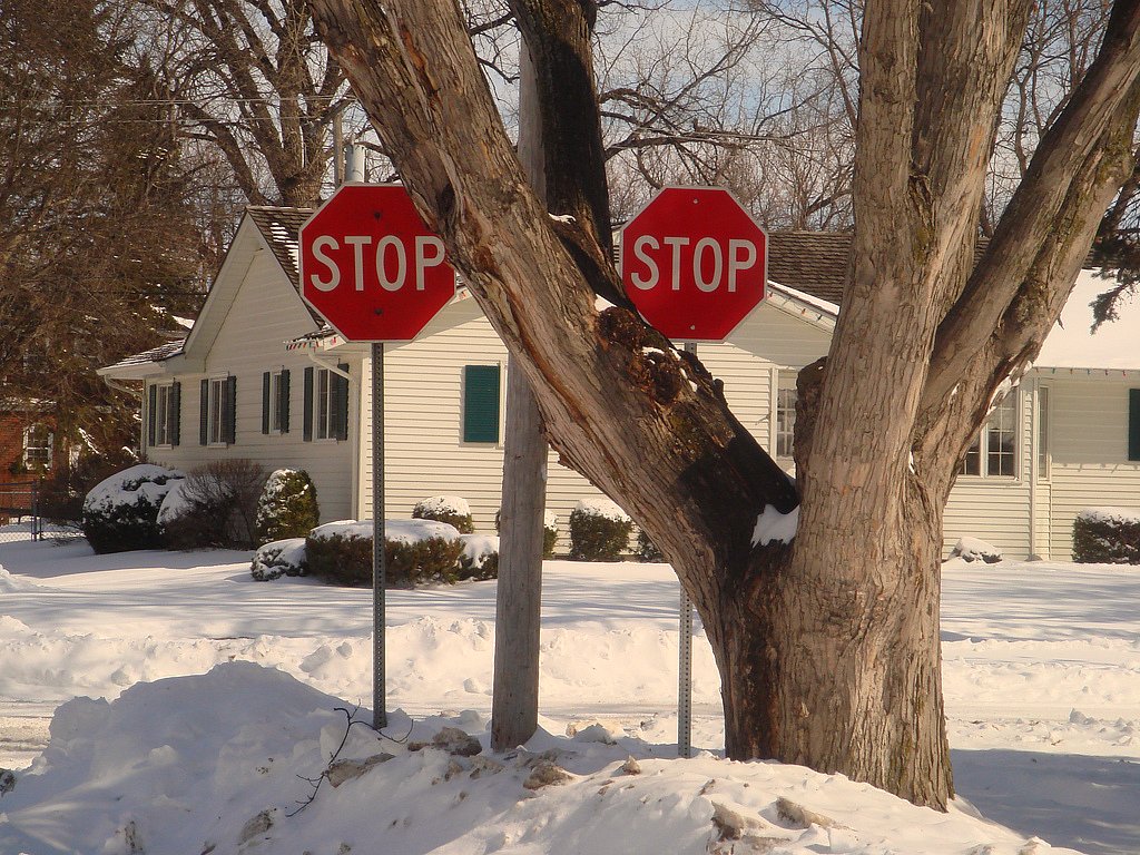 a stop sign sitting by a tree in a neighborhood covered with snow