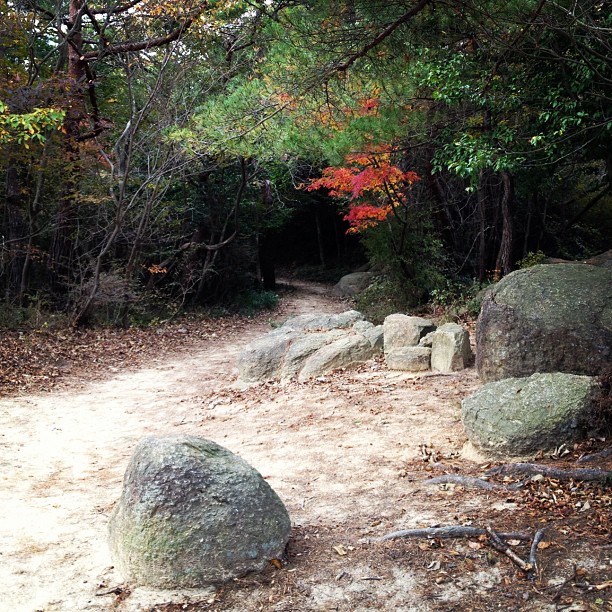 there are many large boulders on the ground in this park