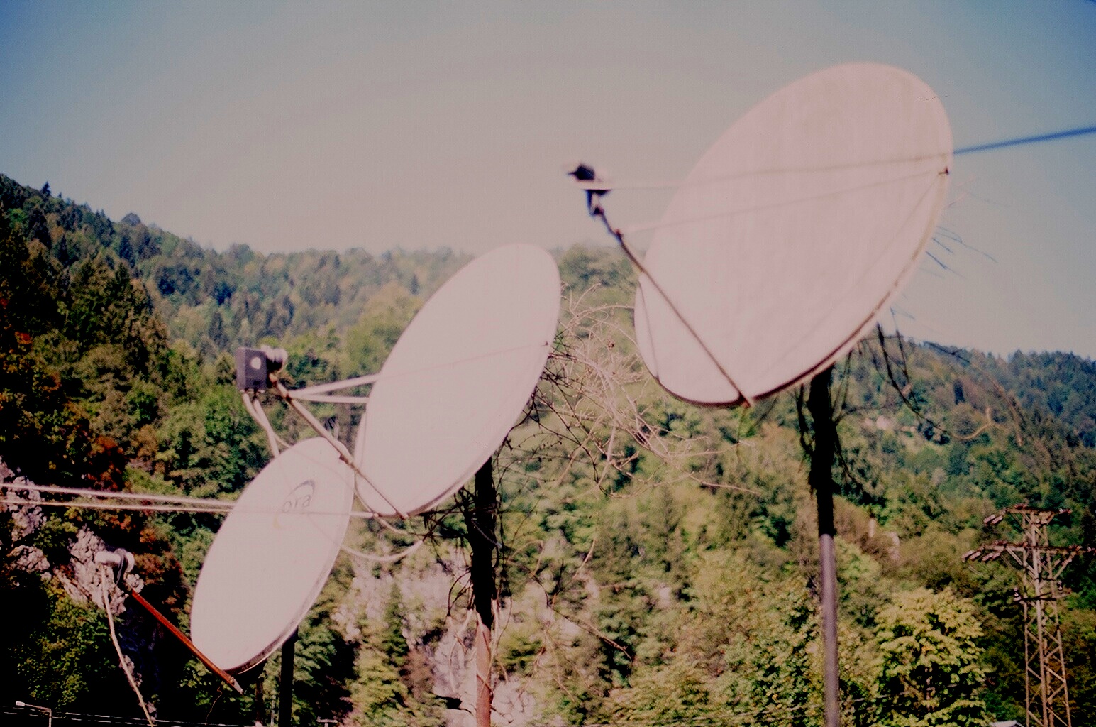 two satellite dishes on poles overlooking a green forest