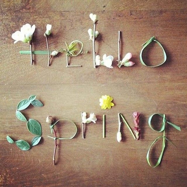the word spring spelled out with small fake flowers