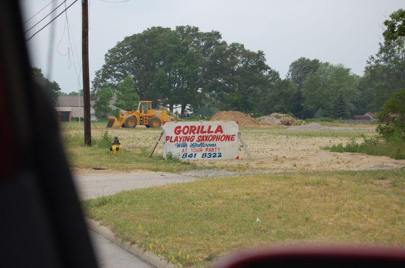 this is a sign for gorillala flying scheme