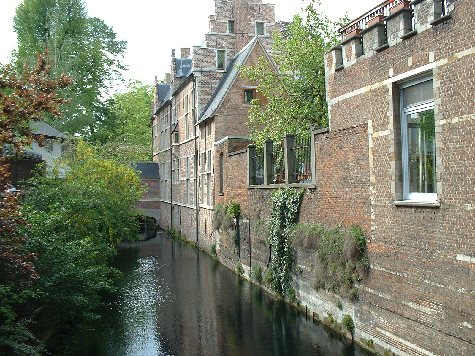 some pretty buildings by a river with windows