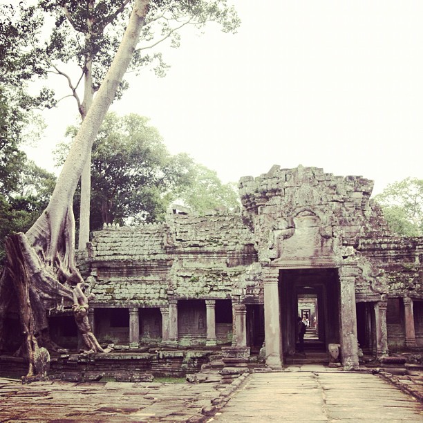 large doorway in stone ruins surrounded by trees