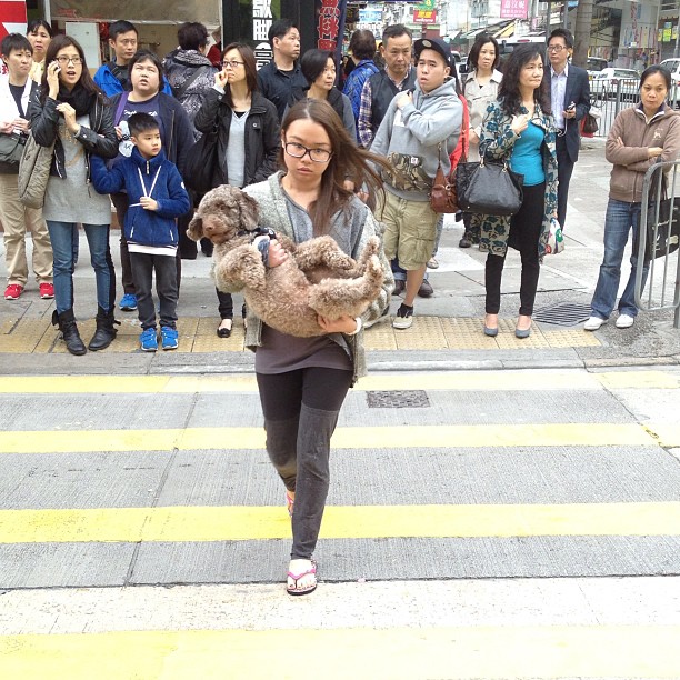 woman carrying teddy bear walking across street with crowd in background