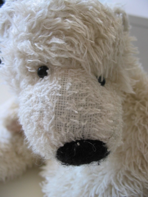 a stuffed teddy bear with a black nose