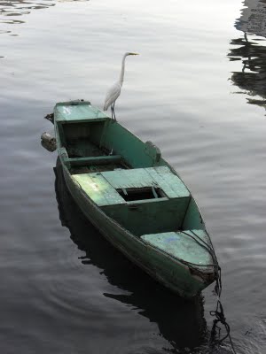 a boat on a body of water with a crane sitting in it