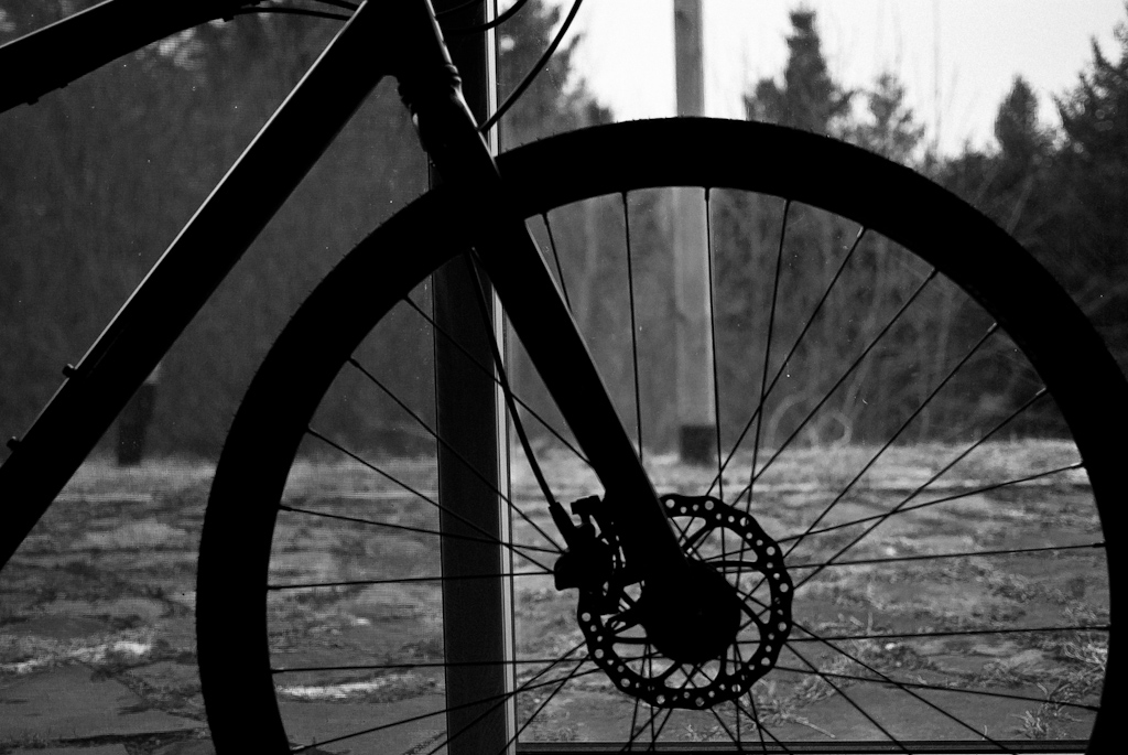 a bicycle's front wheel parked near some trees