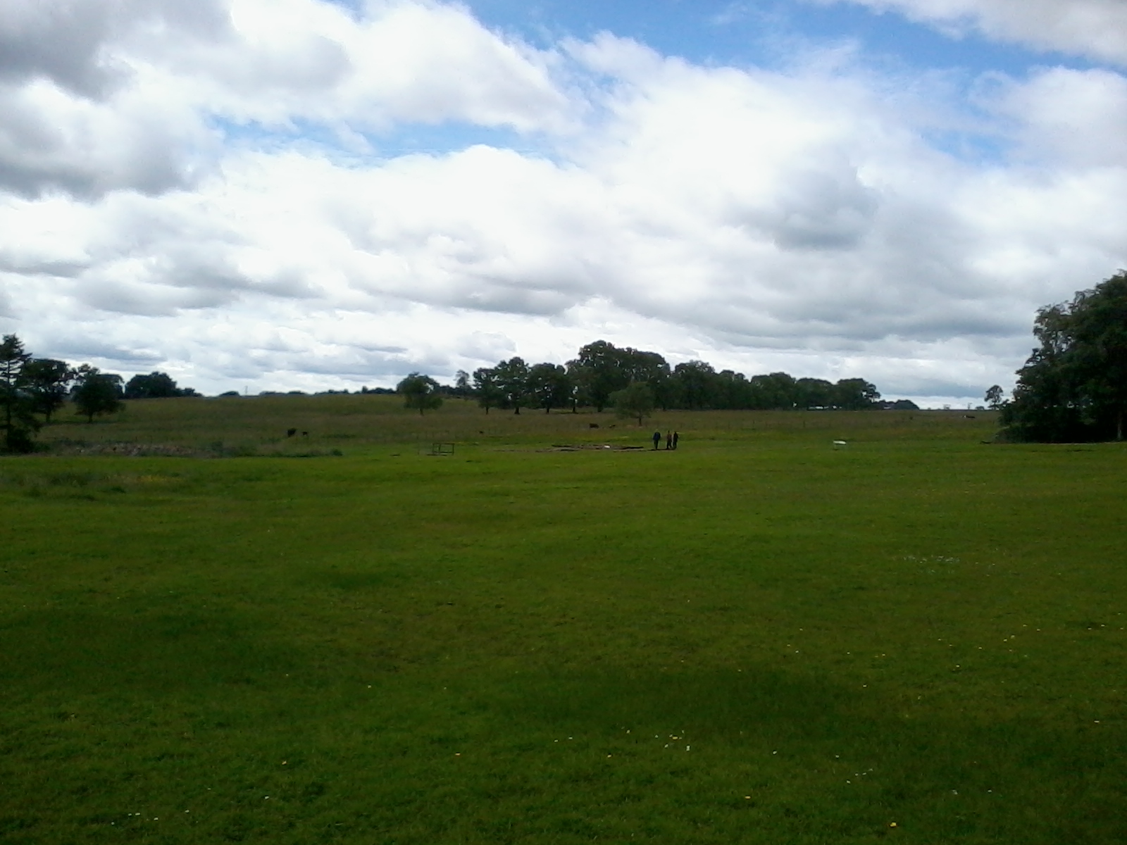 a large open field with some cows in the distance