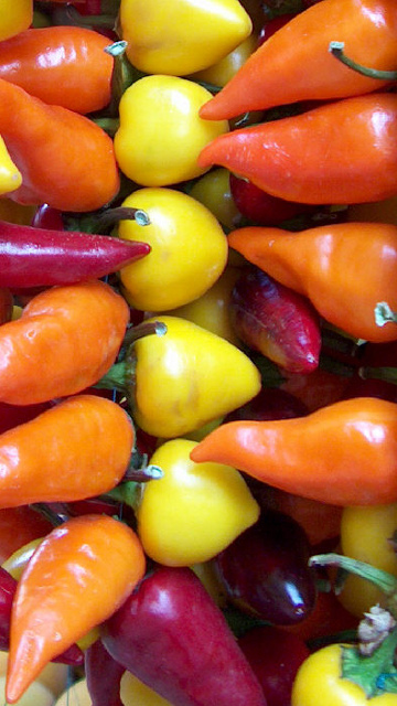 a large pile of  peppers are arranged together