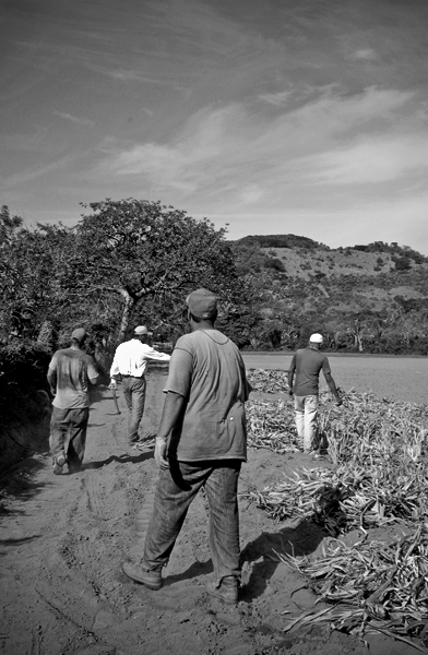 a group of people walking towards a pond in the countryside