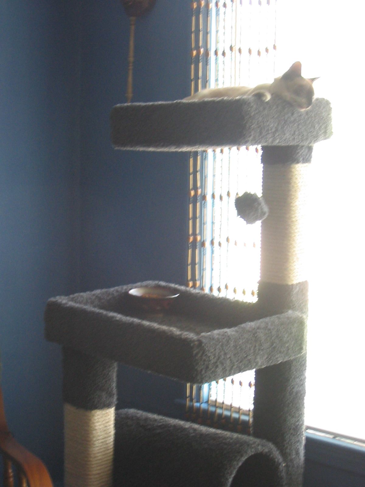 a cat tree sits in a room with blue walls