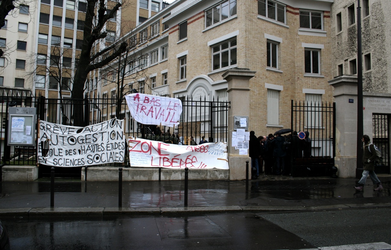 protesters holding signs outside an urban building on a rainy day