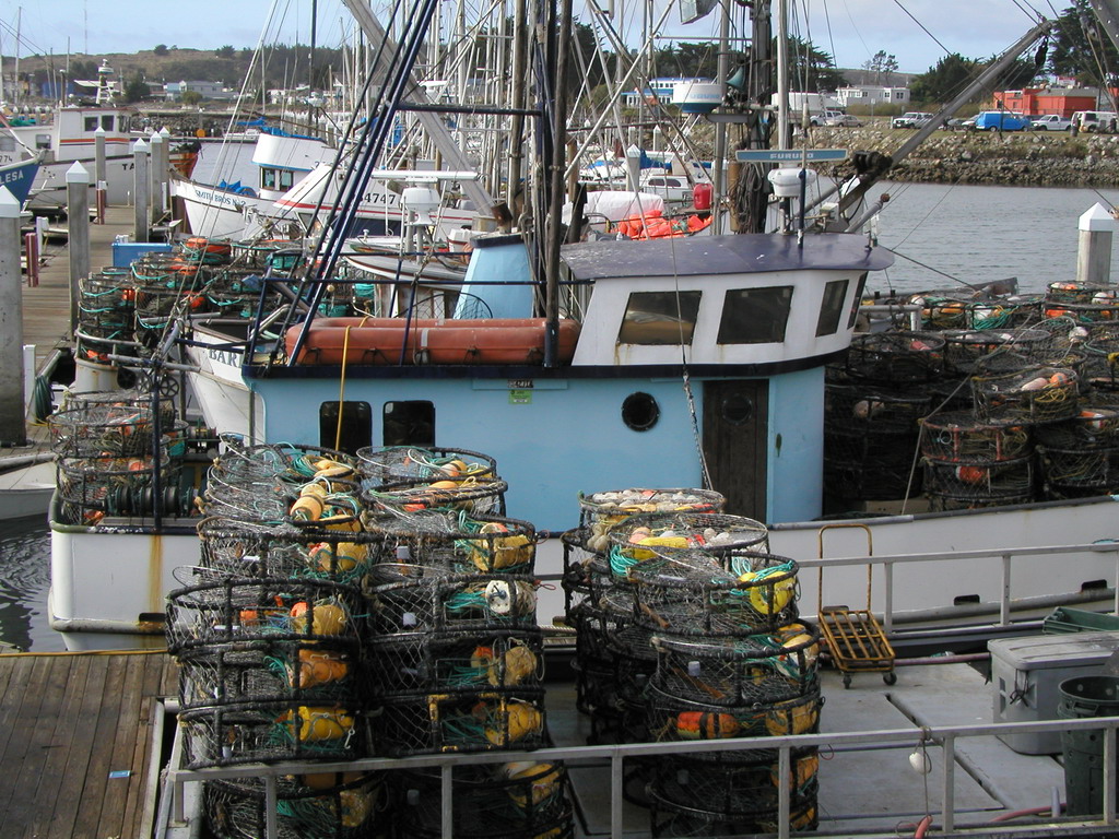 several cages sitting on the deck of a boat