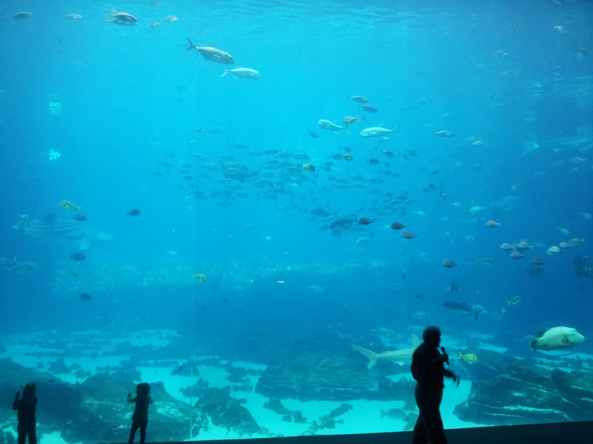 a person taking a po of a large aquarium