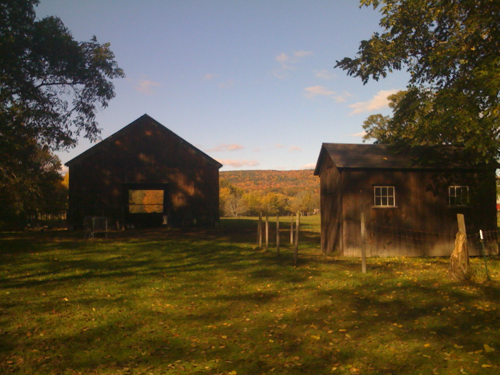 the two barns are in front of the trees