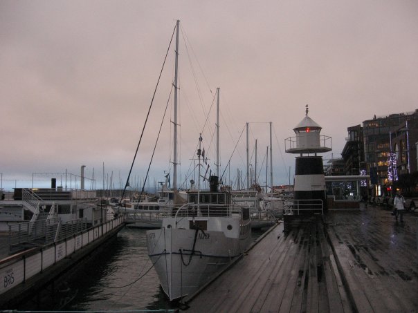 a dock area with several boats and a tower in the distance