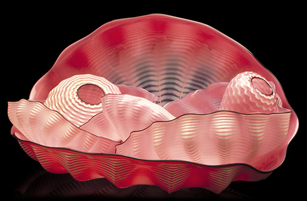 a pink scallop shell on a black background