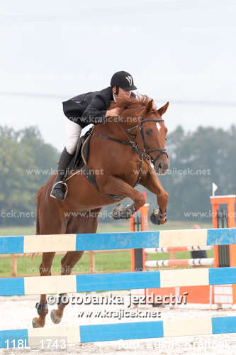 a person is jumping a horse over an obstacle