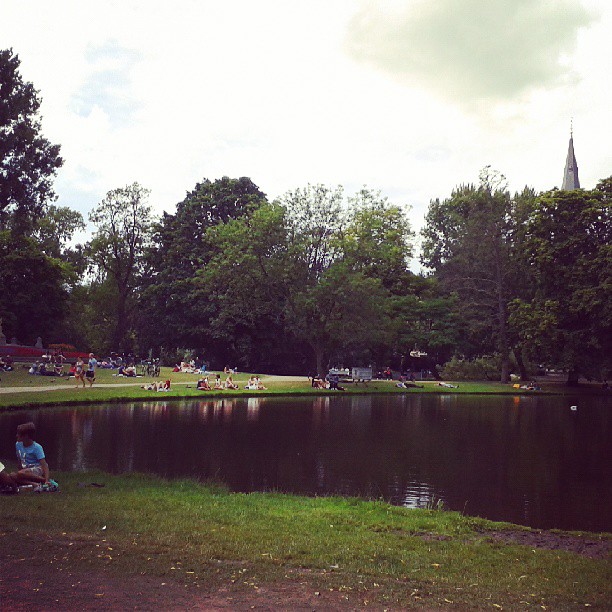 many people are relaxing in the park near the lake
