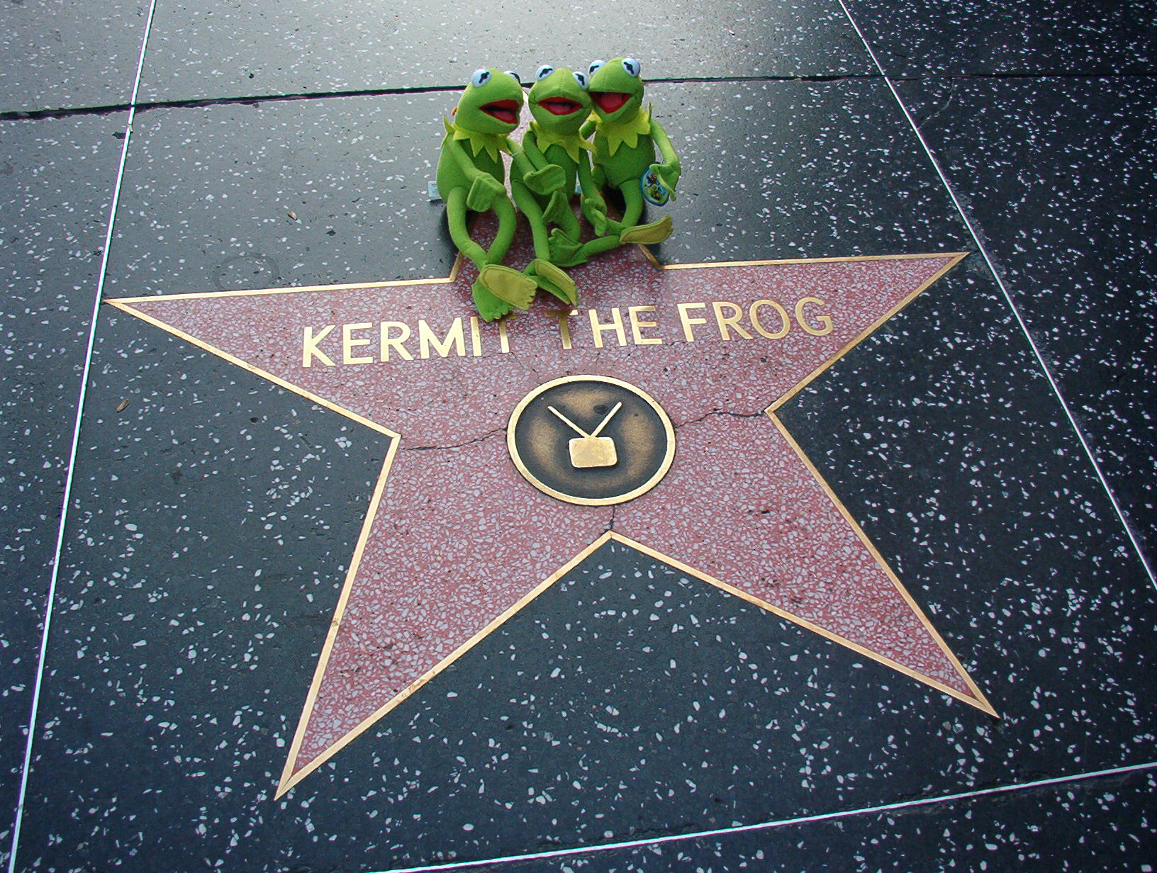 kermi the frog sitting on a star with other kermi the frog