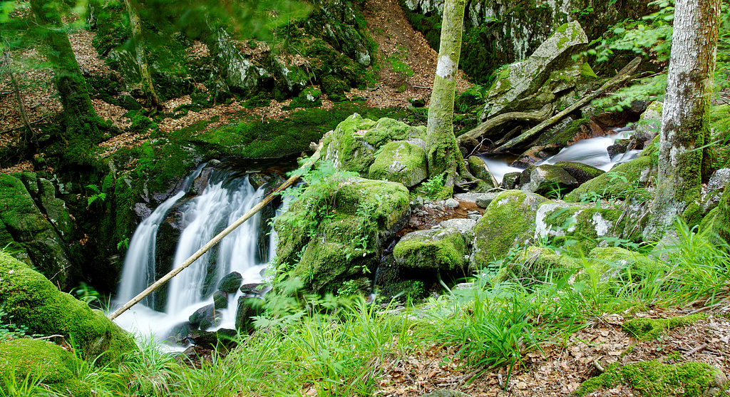 a small stream cascading over rocks in a forest