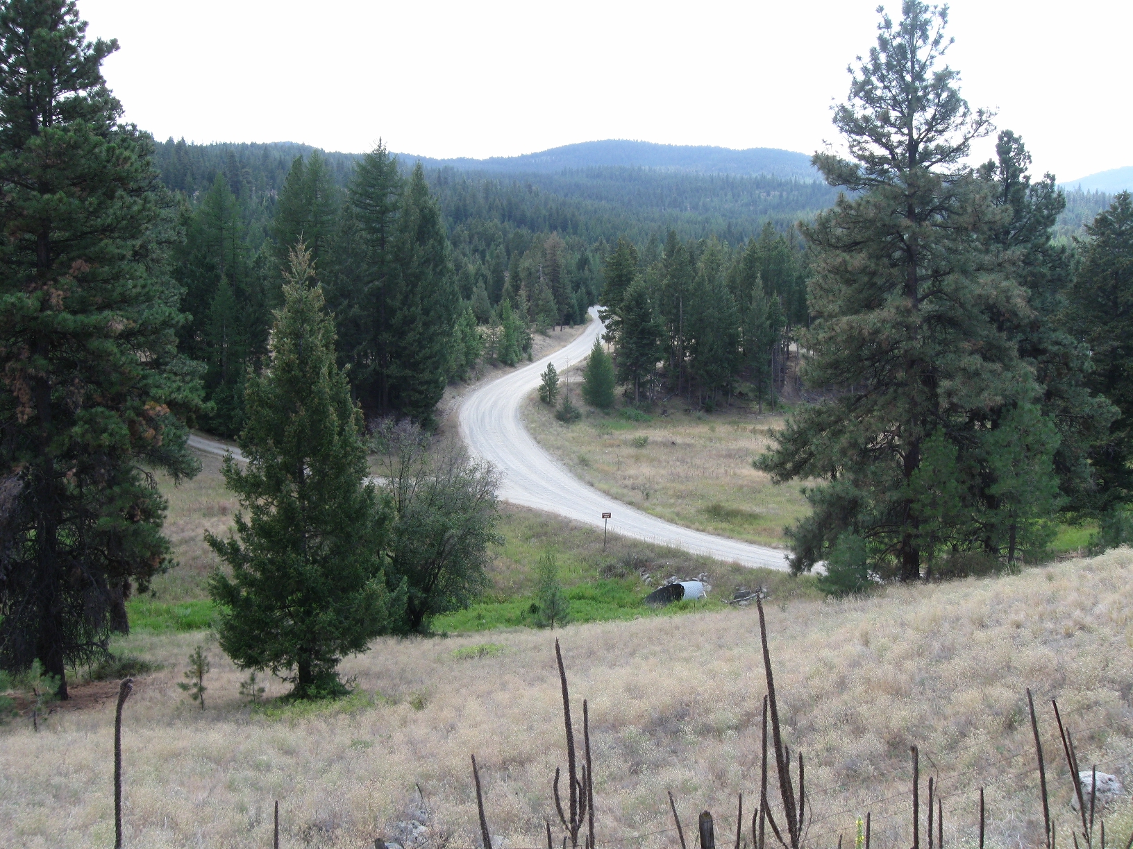 a curve road on the side of a dirt road between trees