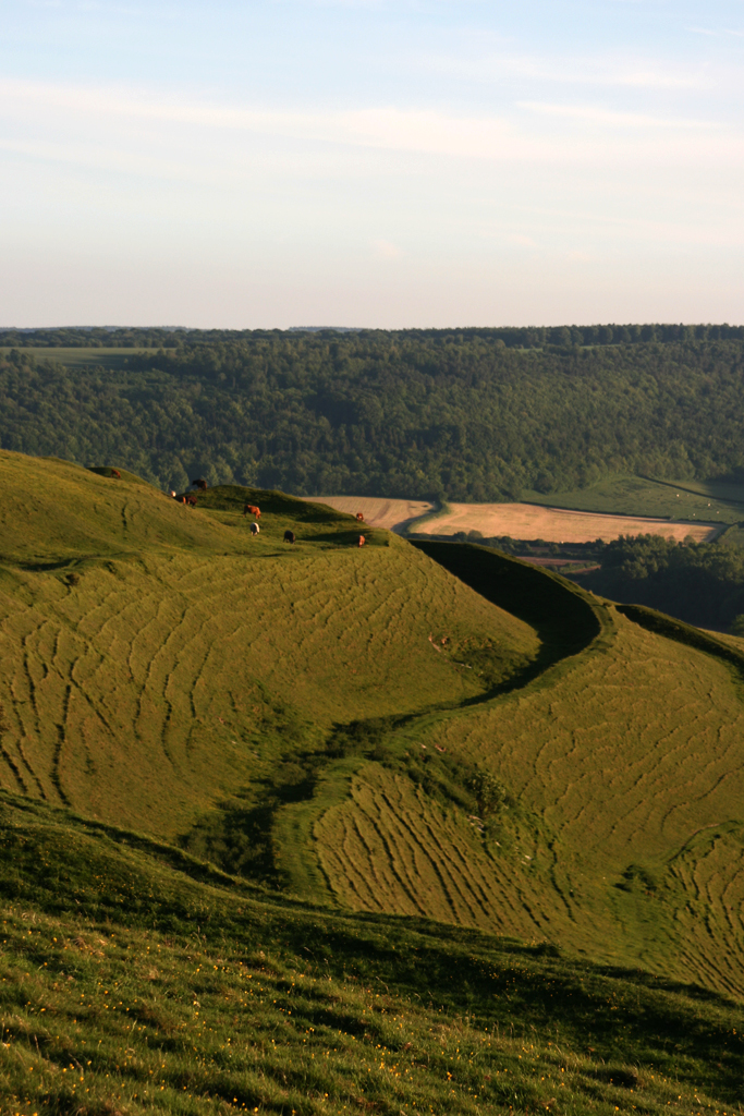 people hiking up a hill on a trail