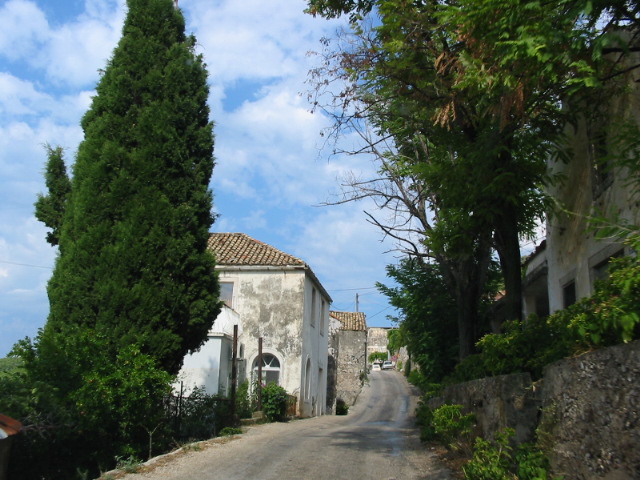 an old street with buildings and trees along it