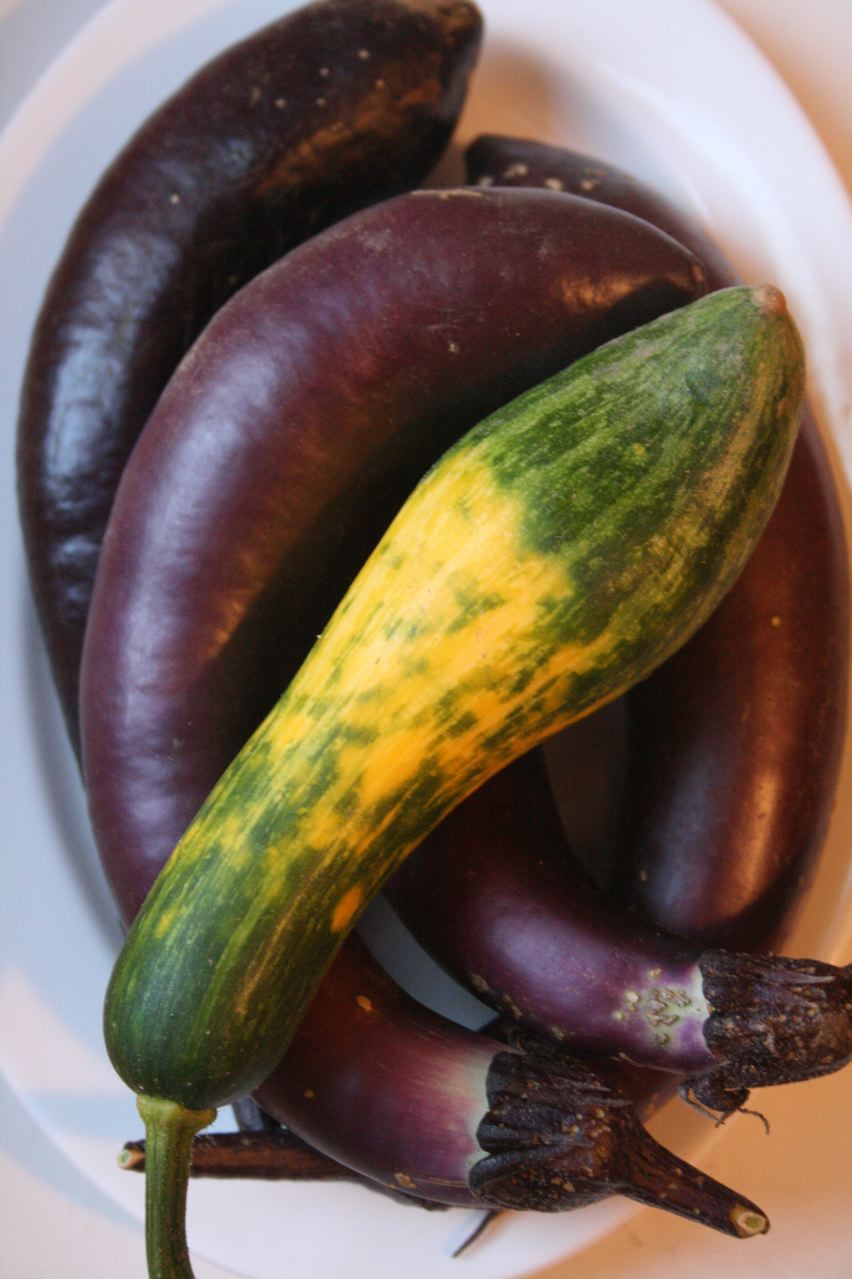 two eggplants and one zucchini in a bowl