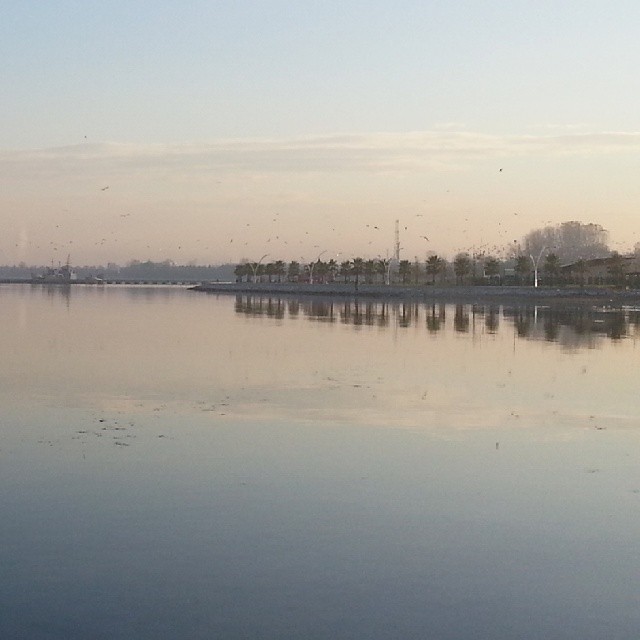 a body of water surrounded by trees and a bridge