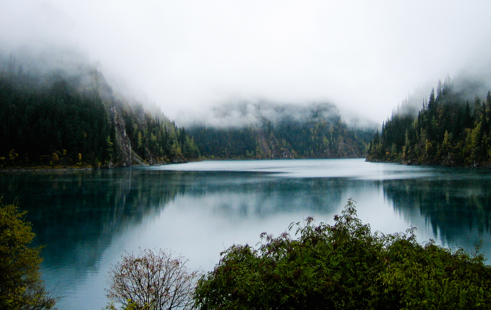 a body of water surrounded by lush green trees