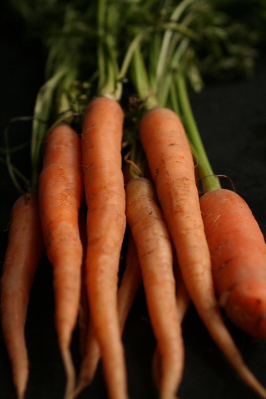 carrots have not yet been picked to be harvested