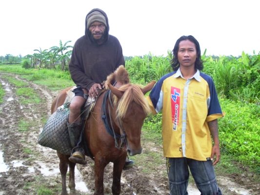 two people riding on horses next to a field