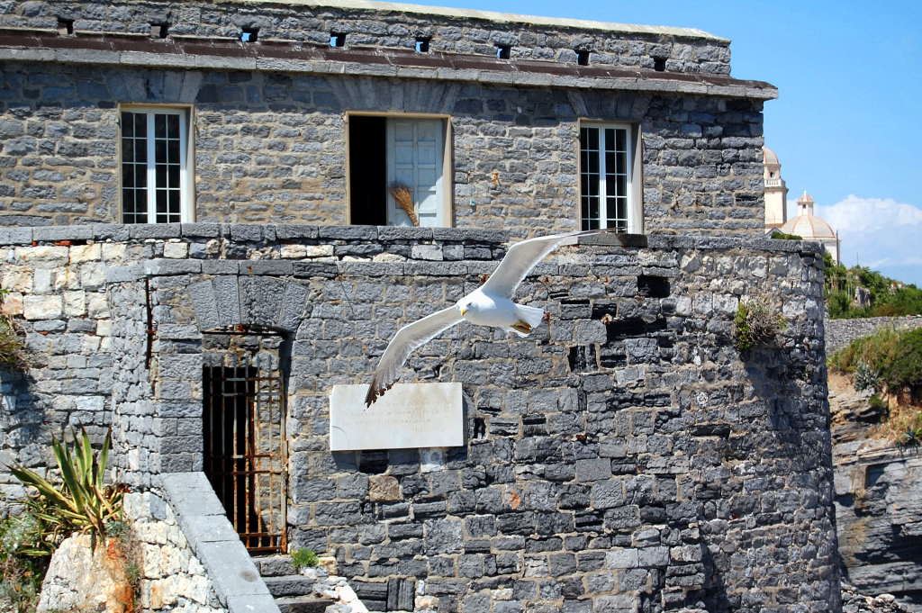 the seagull is flying over the stone building