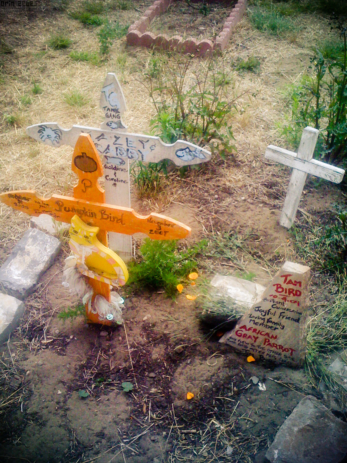 an airplane sits among the tombstones of some sort