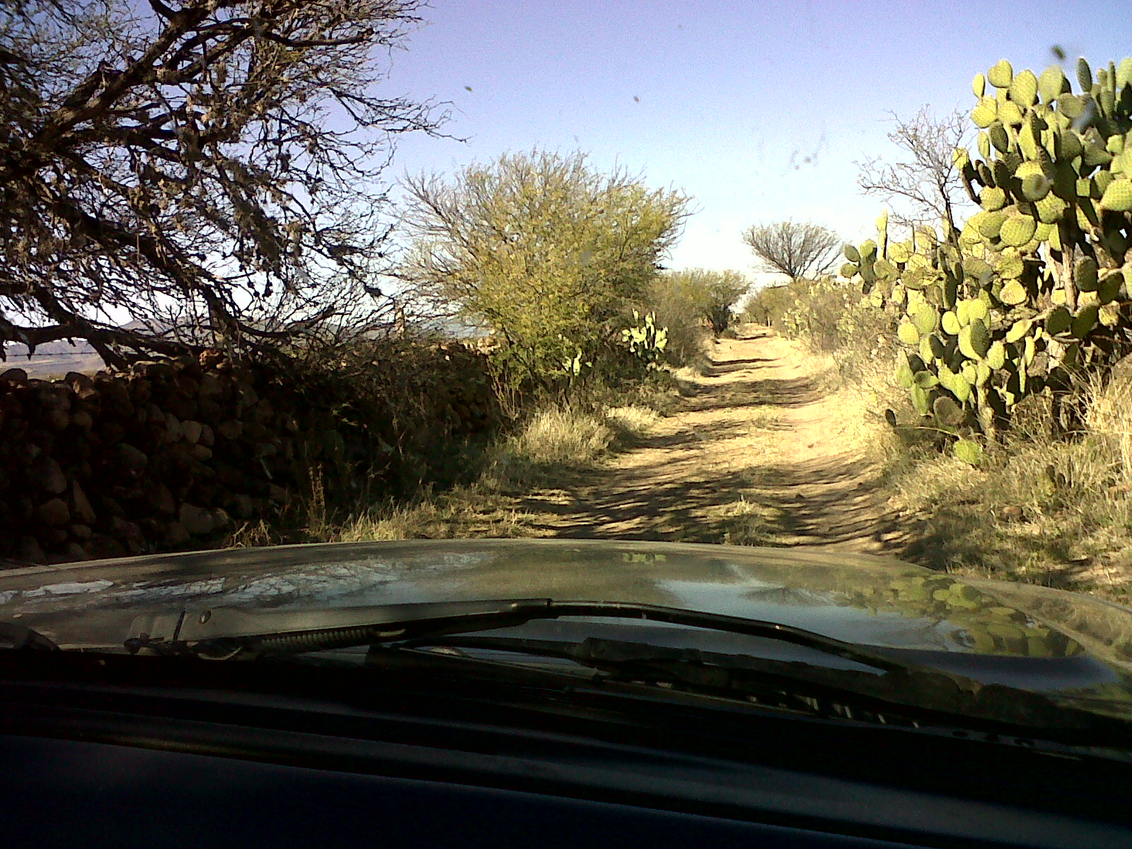 the view from a car window, of a dirt road with cactus trees in the distance