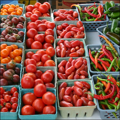 several rows of different types of vegetables including tomatoes, peppers and other produce