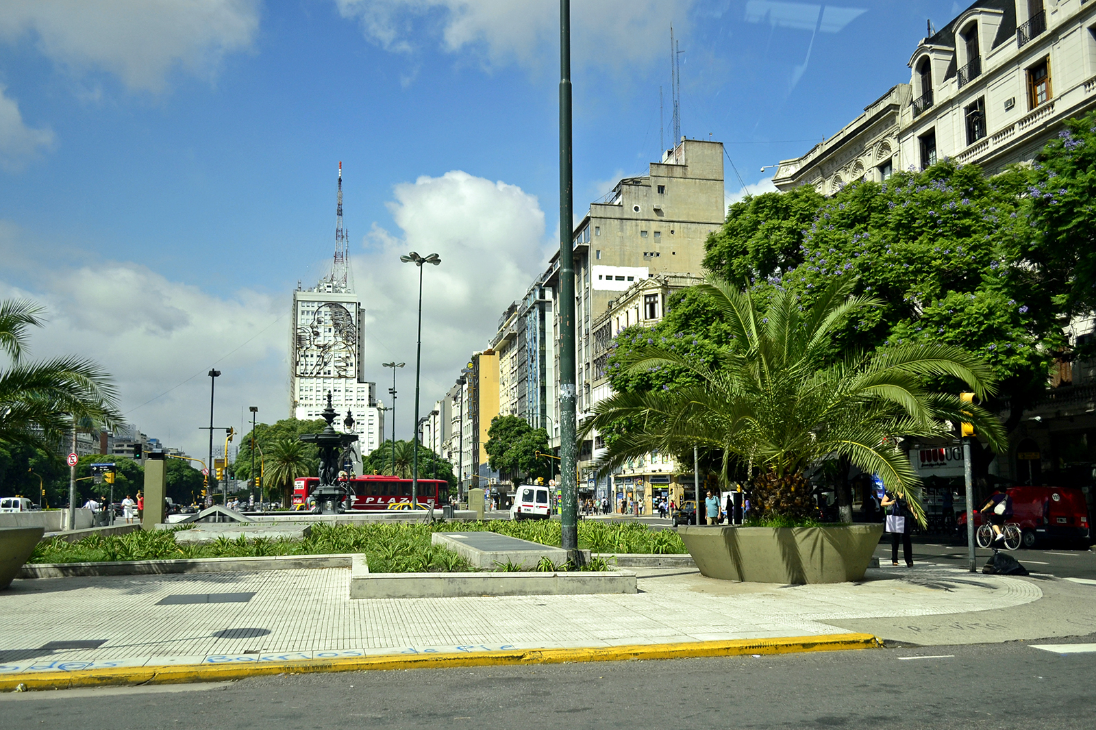 city with trees and tall buildings along the road
