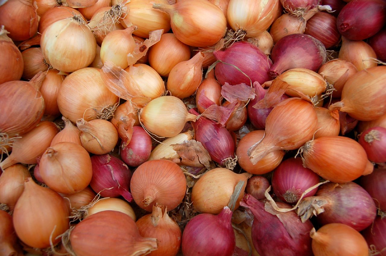 an image of onions in the pile that is ready to be sold