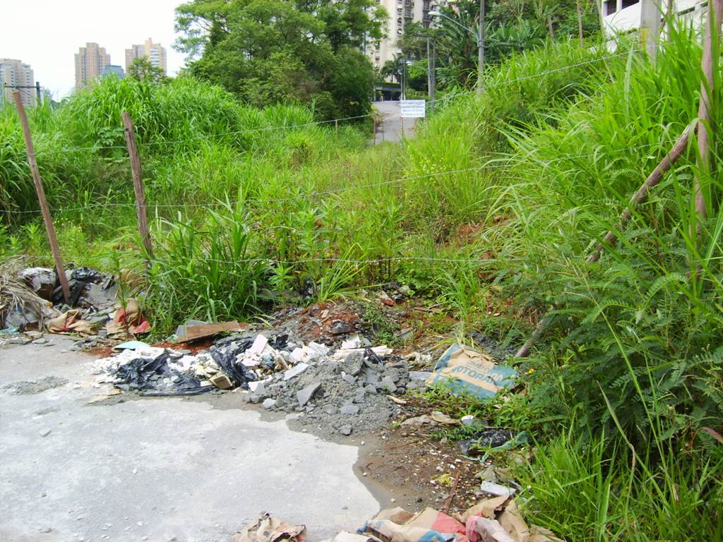 debris littering on the ground in a vacant area