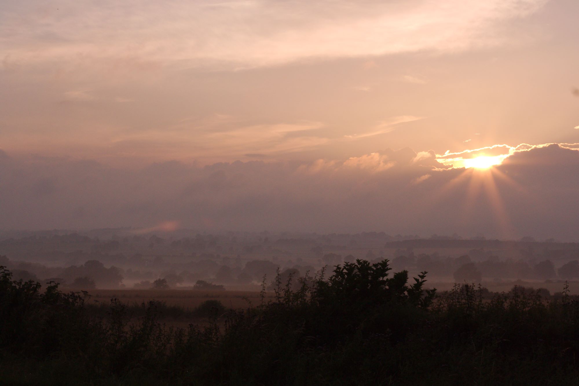 the sun is setting in the foggy countryside