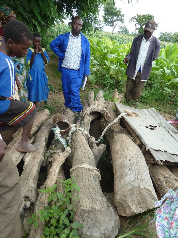 some people are standing next to tree logs