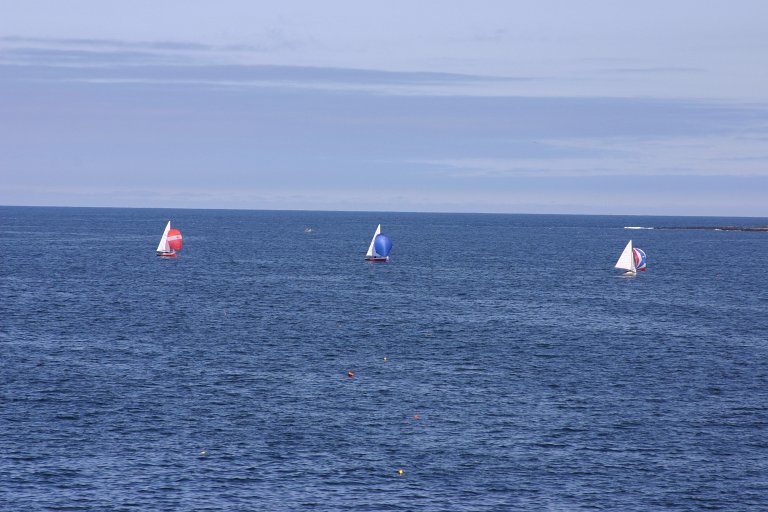 a group of boats out in the water with sails
